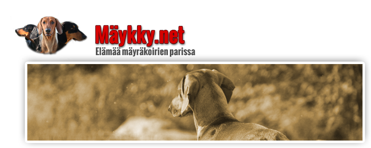 M�ykky.net